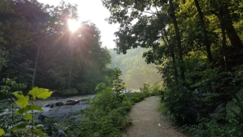 A serene river path surrounded by lush greenery, with sunlight filtering through the trees.