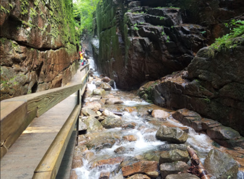 A narrow canyon with a flowing stream and wooden walkway, surrounded by moss-covered rocks and greenery.