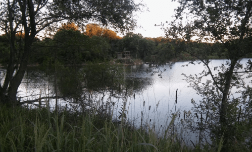 A serene lake surrounded by trees and tall grass, with a small gazebo visible in the distance at sunset.
