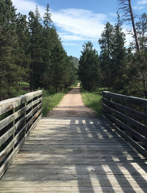 A wooden bridge leads to a dirt path surrounded by tall trees under a blue sky.
