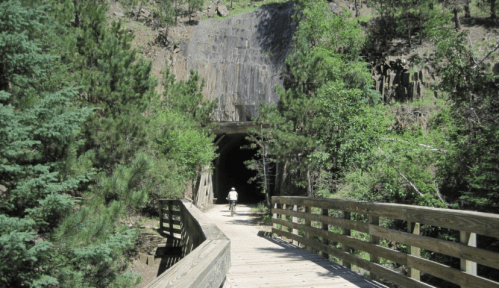 A wooden bridge leads to a dark tunnel surrounded by lush greenery and rocky terrain.