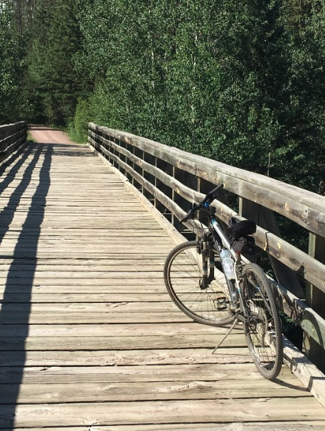 A bicycle rests on a wooden bridge surrounded by lush green trees and a clear path ahead.