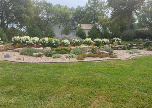 A landscaped garden featuring white flowers, rocks, and greenery, set against a backdrop of trees and a house.