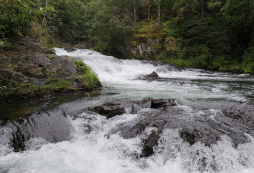 A serene river flows over rocky terrain, surrounded by lush greenery and trees. Water cascades gently in the background.