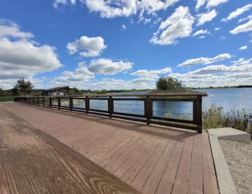 A wooden boardwalk by a calm lake under a blue sky with fluffy clouds and greenery in the background.
