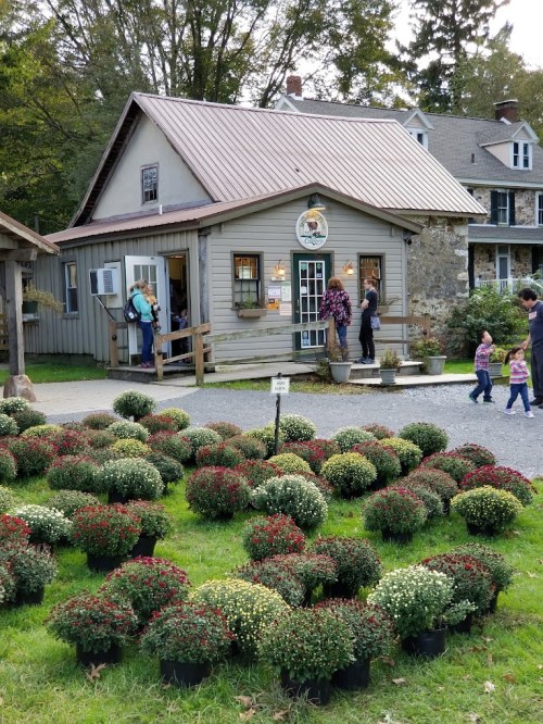 A quaint shop surrounded by colorful flower pots, with people browsing and enjoying the outdoor space.