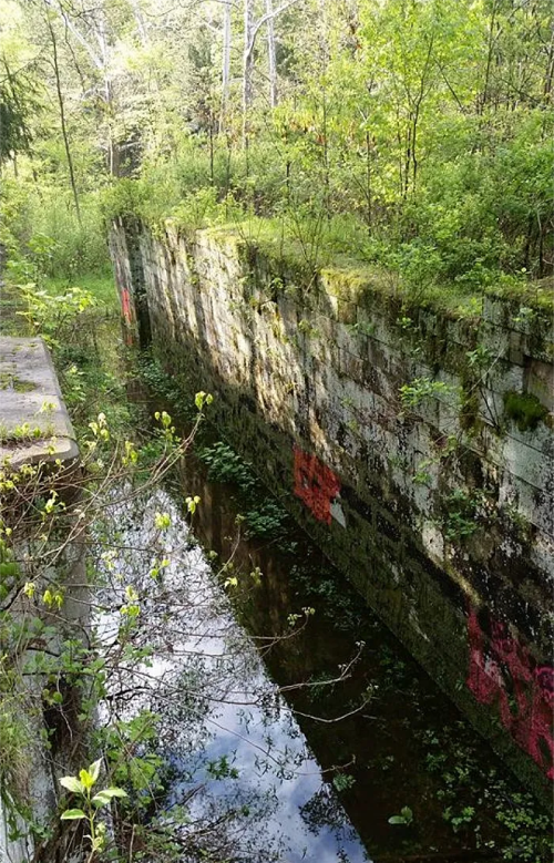 Overgrown stone wall beside a narrow, still waterway, surrounded by lush greenery and trees.