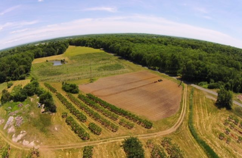 Aerial view of a lush landscape with fields, trees, and a small pond under a clear blue sky.