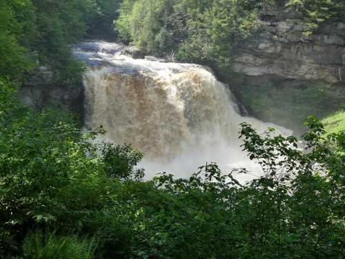 A cascading waterfall surrounded by lush green trees and rocky cliffs, with brownish water flowing down.