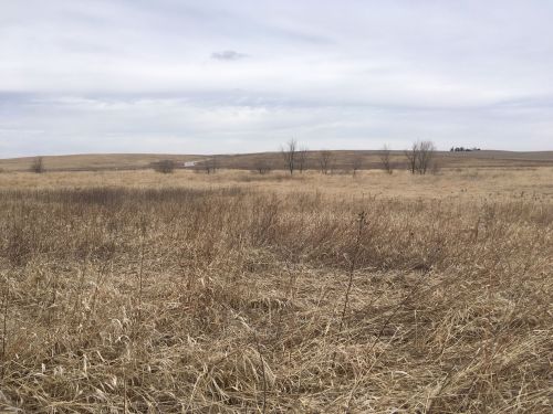 A vast, open landscape with dry grass and distant hills under a cloudy sky.