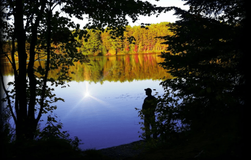 A person stands by a tranquil lake, surrounded by trees, reflecting vibrant autumn colors in the water.