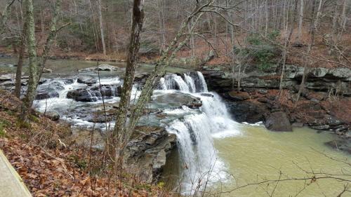 A serene waterfall cascades over rocky ledges, surrounded by trees and autumn leaves in a tranquil forest setting.