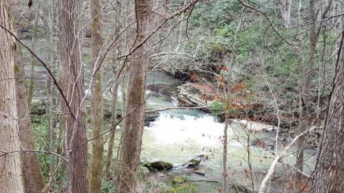 A serene river flows through a wooded area, surrounded by trees and rocky banks.