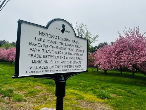 Historic sign for the Minisink Trail in New Jersey, with cherry blossom trees in the background.