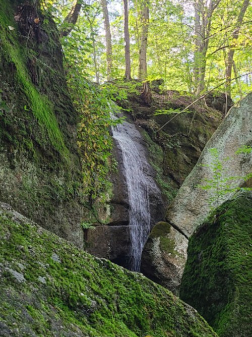 A serene waterfall cascades down moss-covered rocks, surrounded by lush green trees in a tranquil forest setting.
