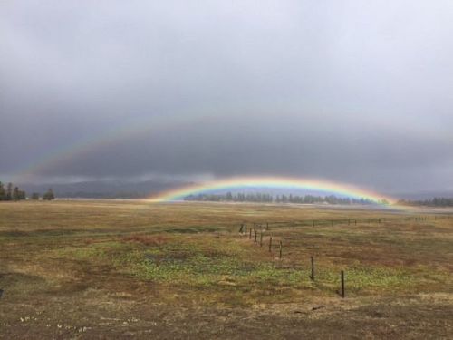A double rainbow arcs over a grassy field under a cloudy sky, creating a vibrant contrast against the muted landscape.