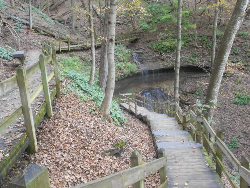 A winding wooden path through a forest, leading to a small stream and surrounded by trees and fallen leaves.