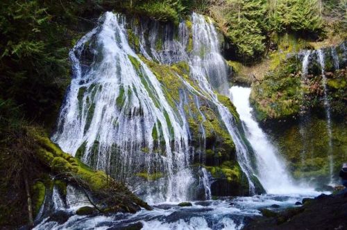 A serene waterfall cascading over moss-covered rocks, surrounded by lush green trees and a tranquil river.