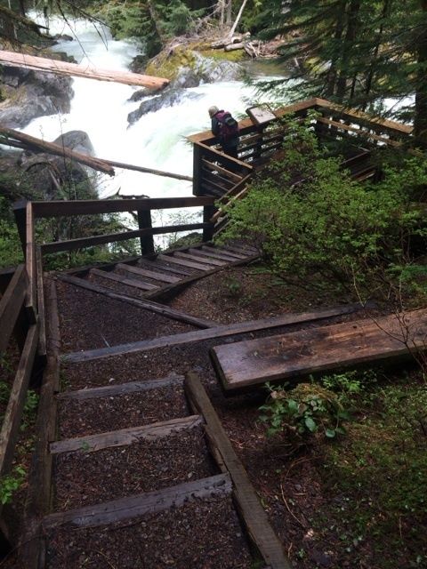 A winding wooden staircase leads down to a river, surrounded by lush greenery and trees.