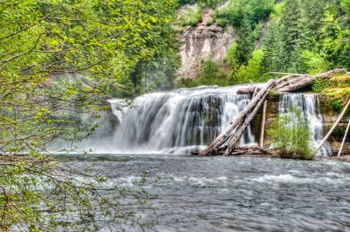 A serene waterfall cascades over rocks, surrounded by lush greenery and fallen logs along the riverbank.