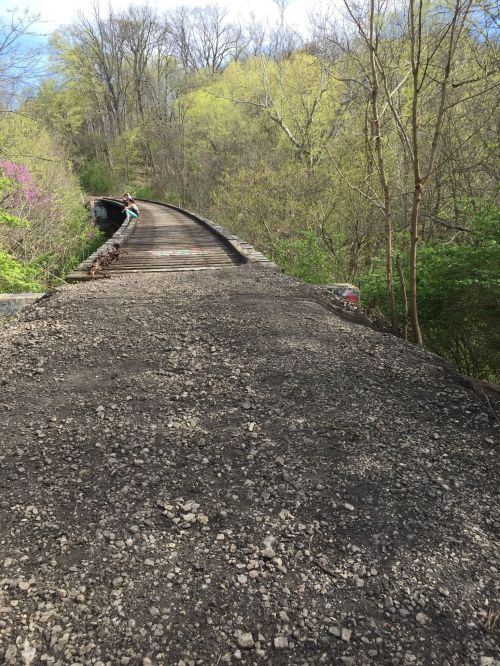 A gravel path leads to an old, overgrown bridge surrounded by trees and greenery under a clear blue sky.
