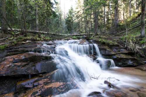 A serene forest scene featuring a cascading waterfall over rocky terrain, surrounded by trees and greenery.