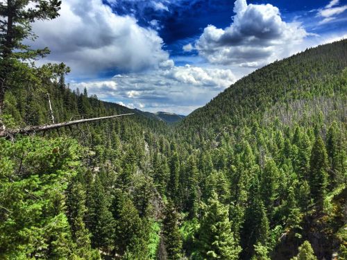 Lush green forested mountains under a dramatic sky with clouds, showcasing a deep valley in the distance.