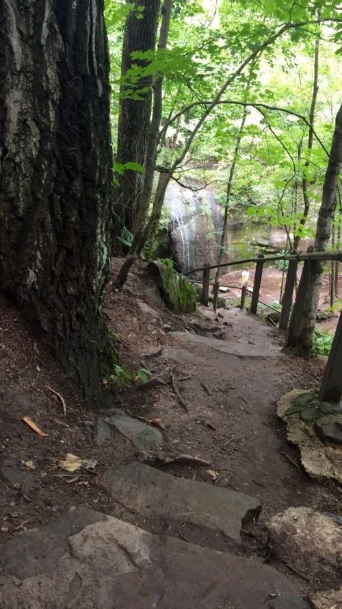A winding dirt path leads down through a lush green forest, with a waterfall visible in the background.