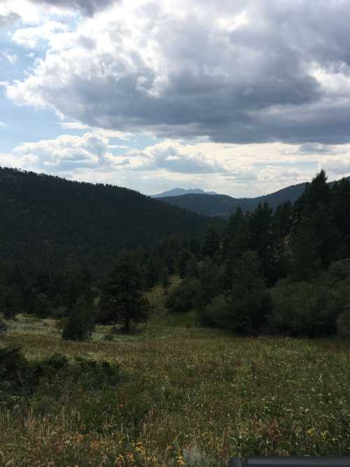 A scenic view of rolling green hills and mountains under a cloudy sky, with trees and wildflowers in the foreground.