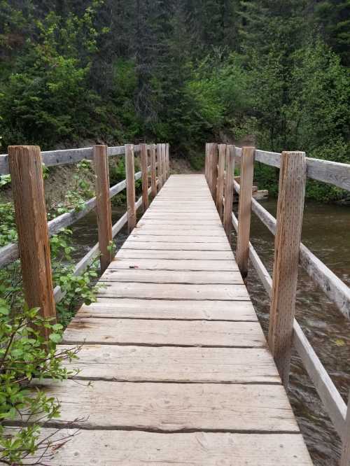 A wooden bridge stretches over a calm stream, surrounded by lush greenery and trees.