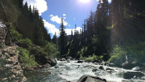 A serene river flows through a forested landscape, with sunlight filtering through the trees and clouds above.