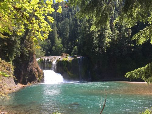 A serene waterfall cascades into a turquoise pool, surrounded by lush green trees and a peaceful forest setting.