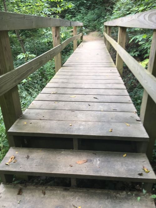 A wooden bridge leads through a lush green forest, surrounded by trees and foliage.