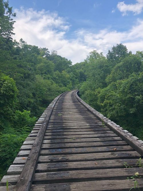A winding wooden bridge surrounded by lush green trees under a blue sky with scattered clouds.