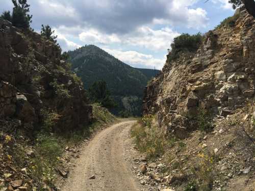 A dirt path winds between rocky cliffs, leading into a lush green valley under a cloudy sky.