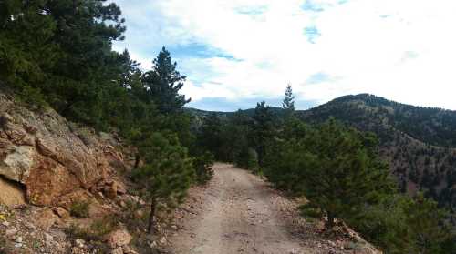 A dirt trail winds through a forested area, surrounded by rocky terrain and distant mountains under a cloudy sky.