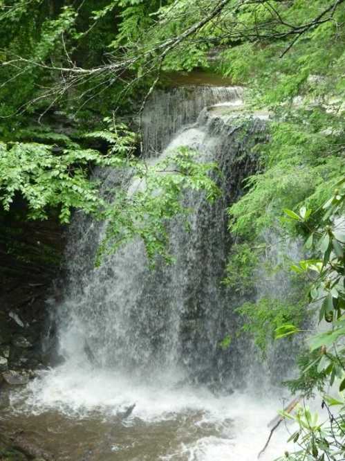 A serene waterfall cascading over rocks, surrounded by lush green foliage and trees.