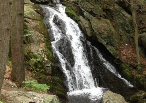 A serene waterfall cascading over rocky terrain, surrounded by lush greenery and trees.