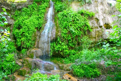 A serene waterfall cascading over rocks, surrounded by lush green ferns and foliage in a natural setting.