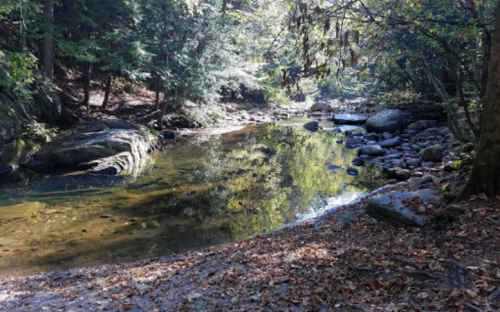 A serene river flows through a forest, surrounded by rocks and autumn leaves, reflecting the trees above.