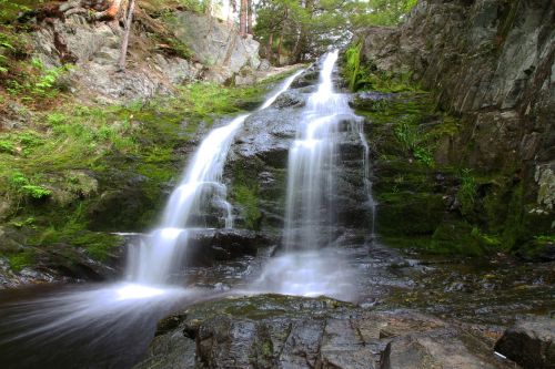 A serene waterfall cascading over moss-covered rocks, surrounded by lush greenery and trees.