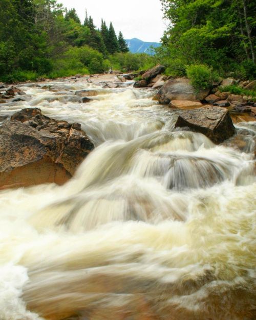 A flowing river cascades over rocks, surrounded by lush greenery and distant mountains under a clear sky.