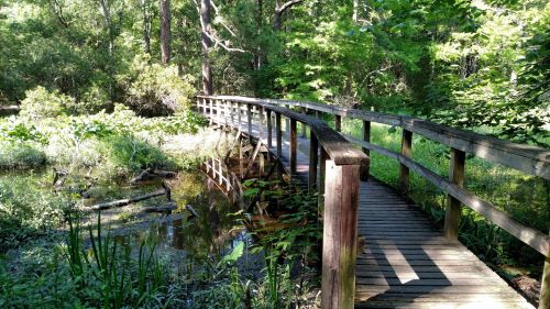 A wooden bridge spans a serene, green landscape with lush vegetation and calm water below.