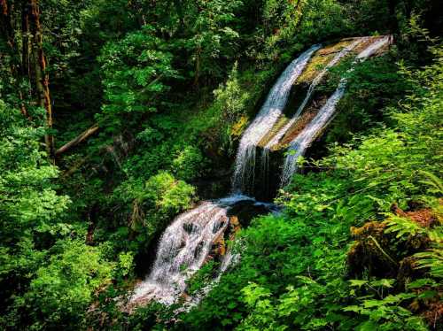 A serene waterfall cascades through lush green foliage in a vibrant forest setting.