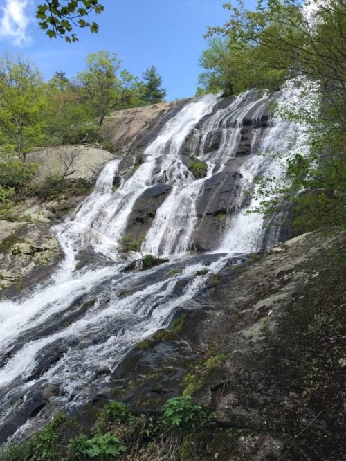 A cascading waterfall flows over rocky terrain, surrounded by lush green trees under a clear blue sky.