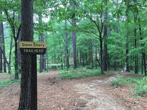 A trailhead sign reading "Glenn Emery" in a lush, green forest with paths diverging in the background.