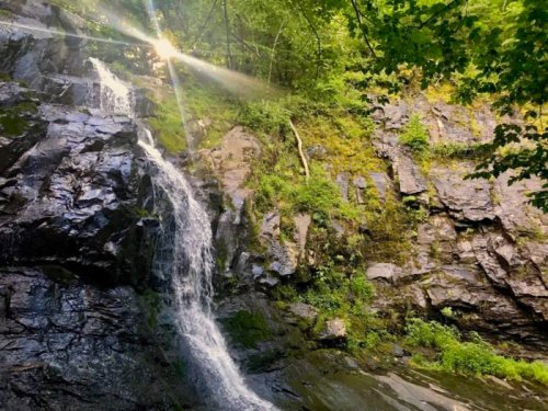 A serene waterfall cascades down rocky cliffs, surrounded by lush green foliage and sunlight filtering through the trees.