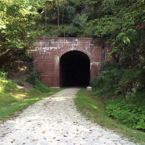 A dark tunnel entrance surrounded by lush greenery and a gravel path leading towards it.