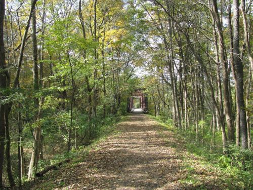 A serene forest path lined with trees, leading to a bridge in the distance, surrounded by autumn foliage.