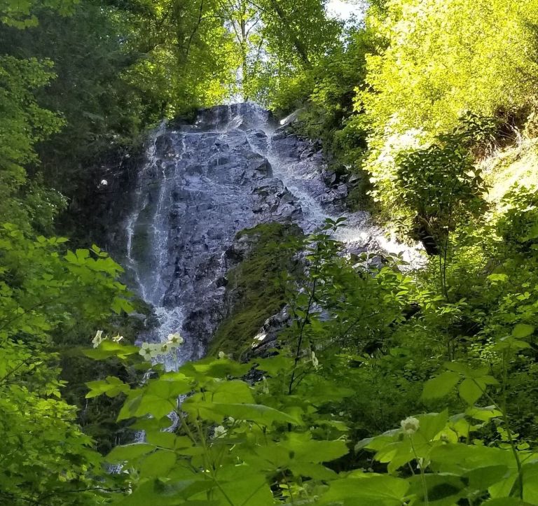 https://admin.onlyinyourstate.com/wp-content/uploads/sites/2/2018/08/image-5-1.jpg?w=768&allow_lossy=1